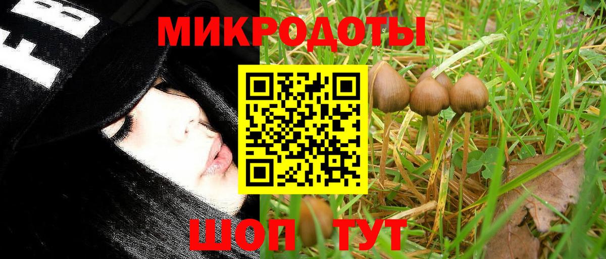 Галлюциногенные грибы Cubensis  Вход с VPN  Мценск  купить наркотики цена  Галлюциногенные грибы мицелий 